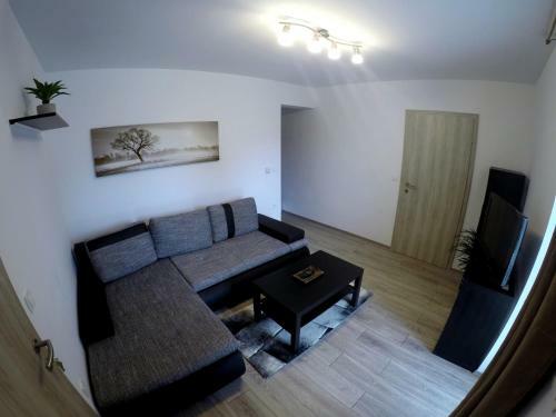 Hostal The Jungle Apartments And Rooms (Vila D?ungla)