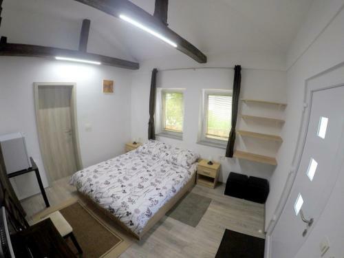 Hostal The Jungle Apartments And Rooms (Vila D?ungla)