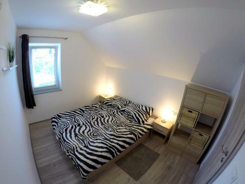 Hostal The Jungle Apartments And Rooms (Vila D?ungla)