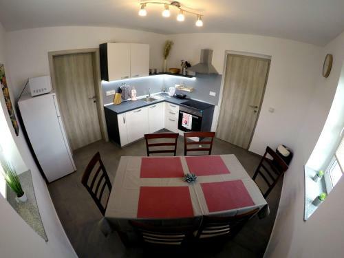 Hostal The Jungle Apartments And Rooms (Vila D?ungla)