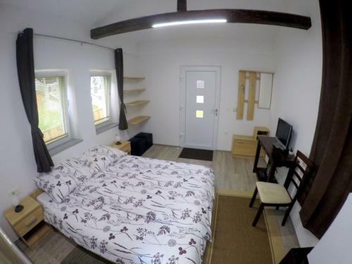 Hostal The Jungle Apartments And Rooms (Vila D?ungla)