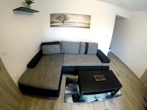 Hostal The Jungle Apartments And Rooms (Vila D?ungla)