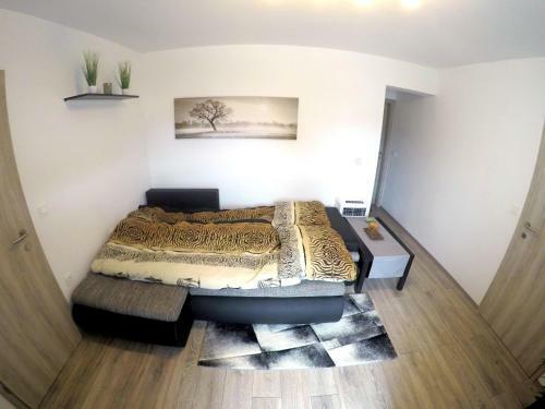 Hostal The Jungle Apartments And Rooms (Vila D?ungla)