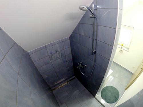 Hostal The Jungle Apartments And Rooms (Vila D?ungla)