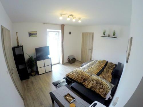 Hostal The Jungle Apartments And Rooms (Vila D?ungla)