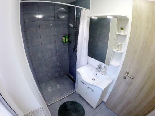 Hostal The Jungle Apartments And Rooms (Vila D?ungla)