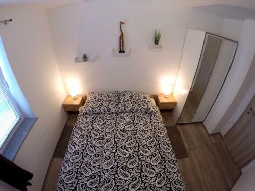 Hostal The Jungle Apartments And Rooms (Vila D?ungla)