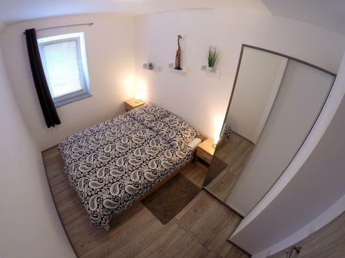 Hostal The Jungle Apartments And Rooms (Vila D?ungla)