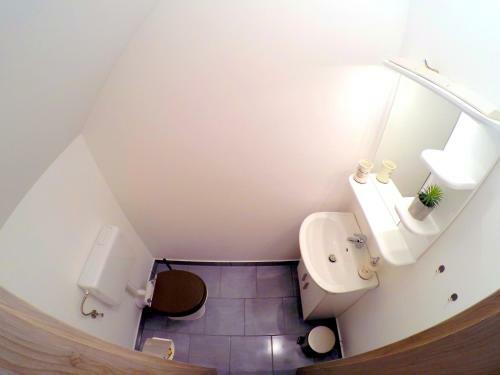 Hostal The Jungle Apartments And Rooms (Vila D?ungla)