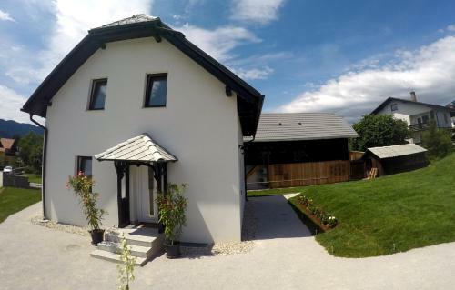 Hostal The Jungle Apartments And Rooms (Vila D?ungla)
