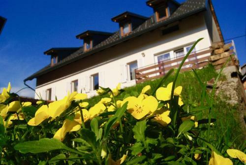 Hostal Apartmaji Pri Kokolu