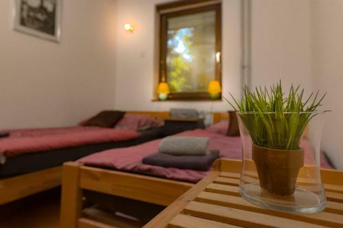 Apartments Rikli Bled