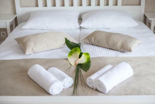 Hostal Apartments & Rooms Aleksandra