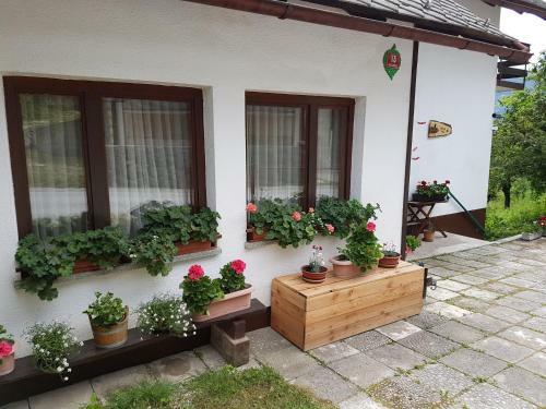 Apartment Eden Bled