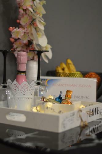 Apartma Sova