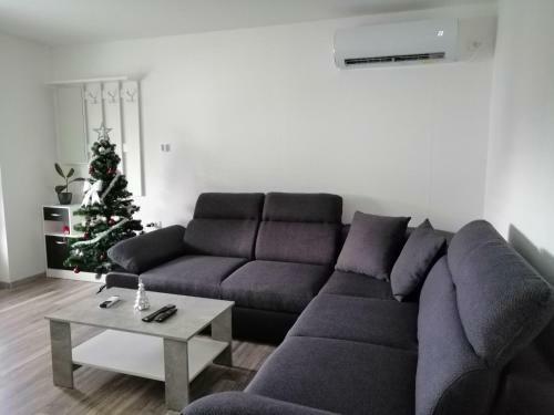 Apartma Carnica
