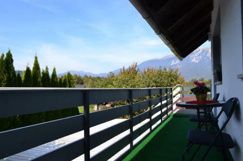 Apartma Carnica