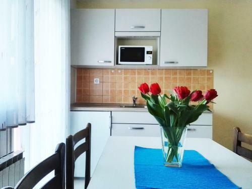 Apartments Sili?