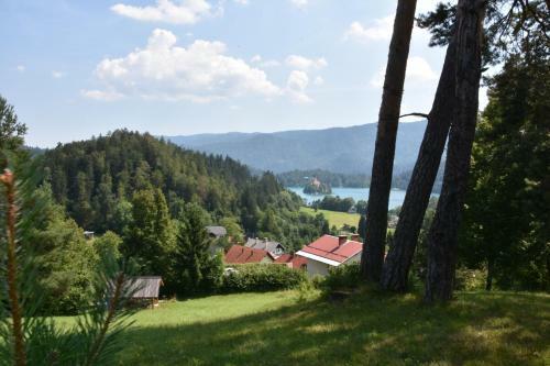 Planika Holiday Home