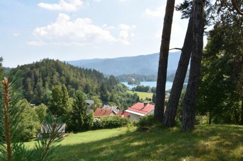 Planika Holiday Home
