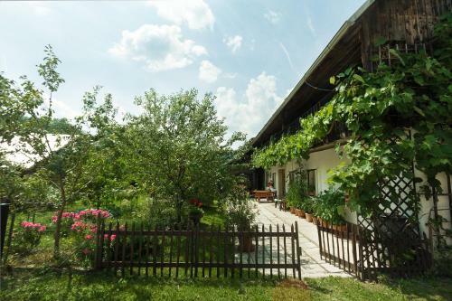 House, Garden And A Green Cat