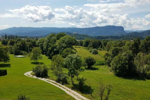Apartamento Castle View Nest