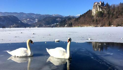 Apartamento Sunset Bled