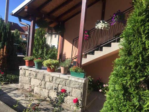 Hostal Greenery House