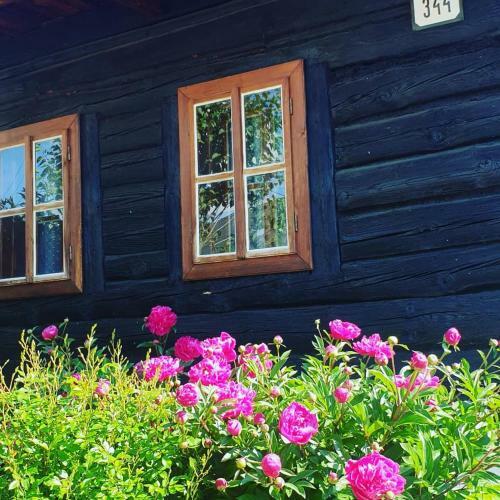 Lodge Drevenica Raj