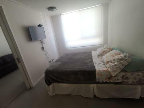 Apartamento Departamento Sector Sur 1 Dormitorio