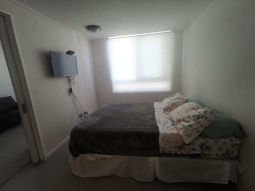 Apartamento Departamento Sector Sur 1 Dormitorio