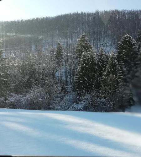 Vrata Pri ?epovanu