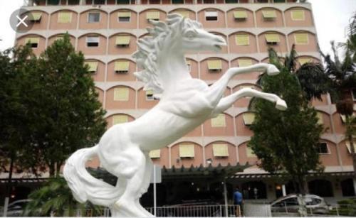Apartamento Flat Cavalinho Branco Apt. N� 516