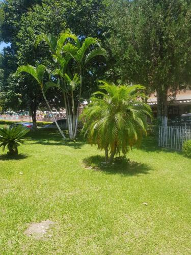 Apartamento Flat Hotel Cavalinho Branco