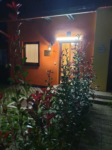 Terme ?ate? Apartma Nine
