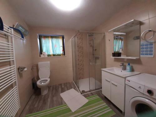 Apartma ?irovnik
