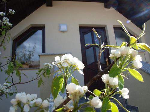 Apartment Knap
