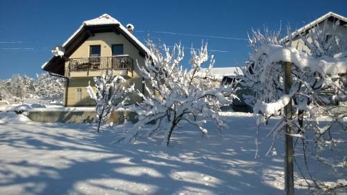 Apartment Knap