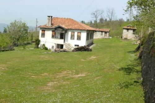 Do?a ?le ?� ?�e Harika Bir Tatil