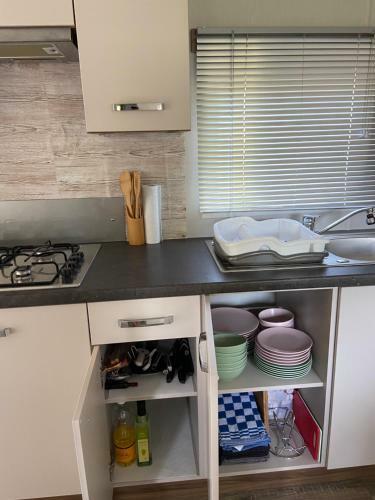 Cheerful And Relaxing Chalet Viena(Park Dehorn824)