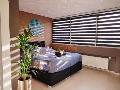 Bed & Breakfast Dishoek