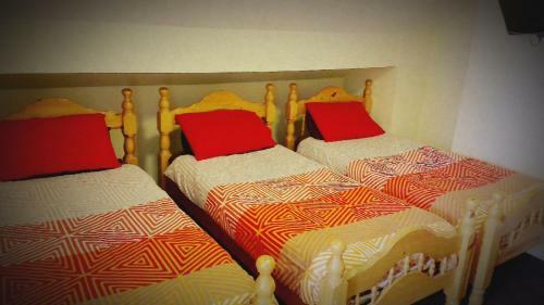 Hostal Park House B&B