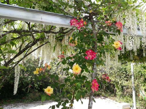 Bed & Breakfast Quinta D'av� Am�lia