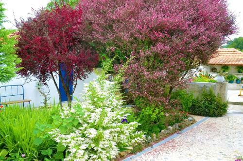 Bed & Breakfast Quinta D'av� Am�lia