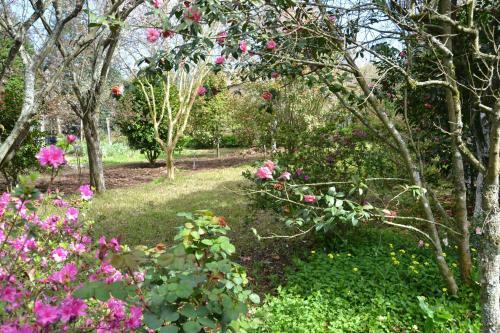 Bed & Breakfast Quinta D'av� Am�lia