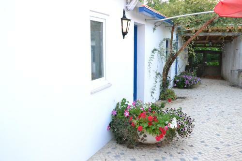 Bed & Breakfast Quinta D'av� Am�lia