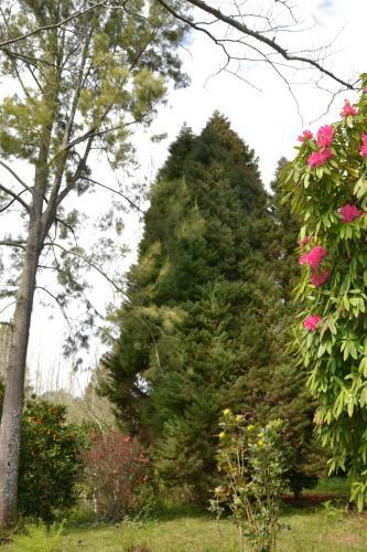 Bed & Breakfast Quinta D'av� Am�lia