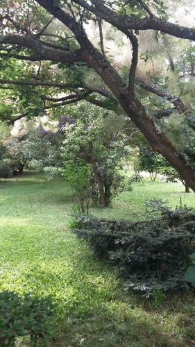 Bed & Breakfast Quinta D'av� Am�lia