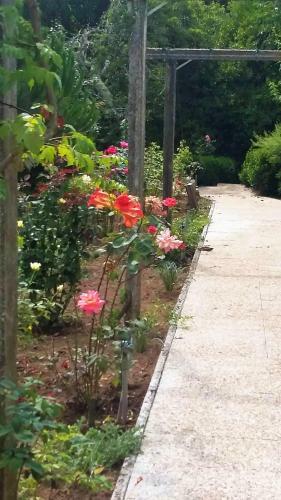 Bed & Breakfast Quinta D'av� Am�lia