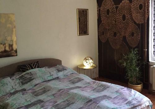 Du?ica Apartmani